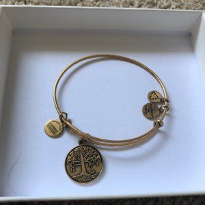 Alex and Ani Bracelet